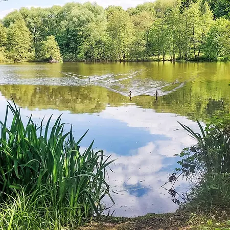 Sternberg 225-227 By Interhome