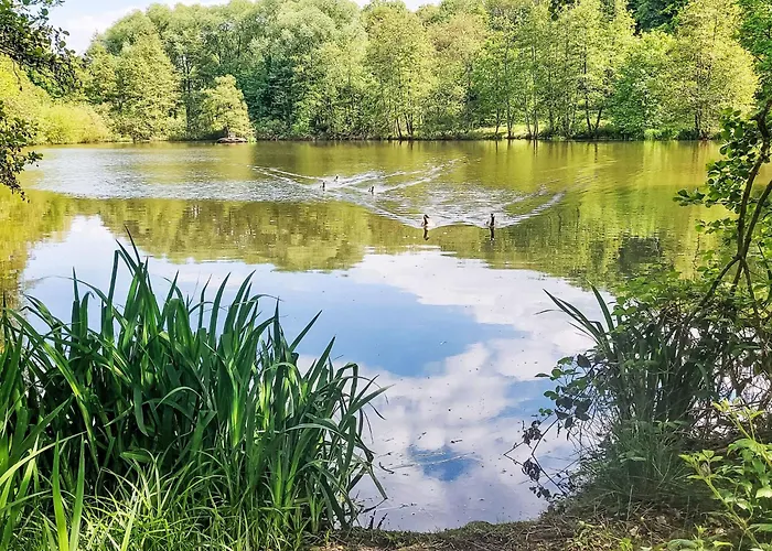 Sternberg 225-227 By Interhome